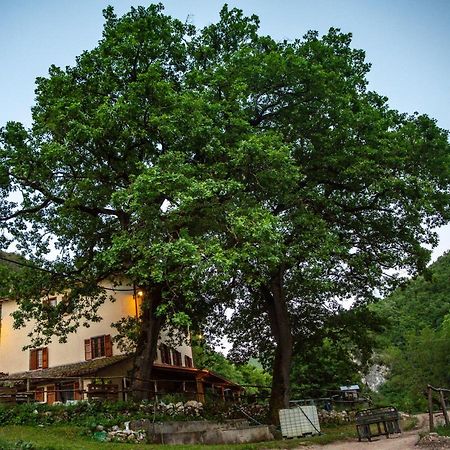 Agriturismo Le Due Querce Cerreto di Spoleto Bagian luar foto